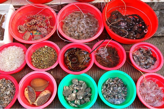 xiamen seafood.jpg