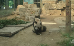 Beijing Zoo
