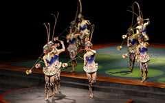 Acrobatic Show