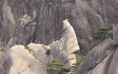 the Old Monk in Meditation