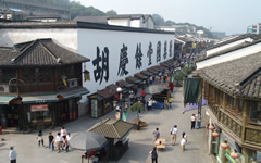Hu Qingyu Hall Chinese Traditional Herbal Medicine Museum