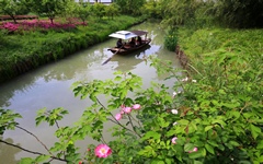 Xixi National Wetland Park