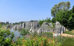 Stone Forest 