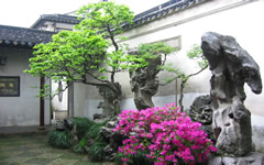 the Garden of the Master of Nets