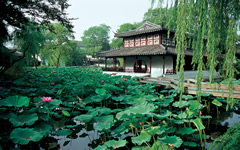 Humble Administrator Garden